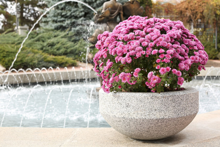 Pályázhatnak a Virágos Magyarország versenyre a települések