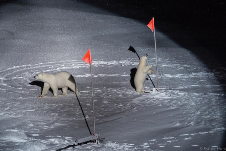 Horváth Eszter nyerte a World Press Photo 2020 díját környezet kategóriában